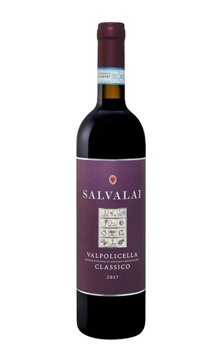 фото вино Gerardo Cesari Salvalai Valpolicella Classico 2019 0,75 л