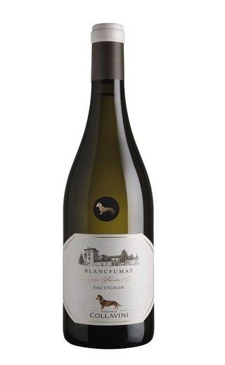 фото вино Eugenio Collavini Blanc Fumat Sauvignon 2019 0,75 л