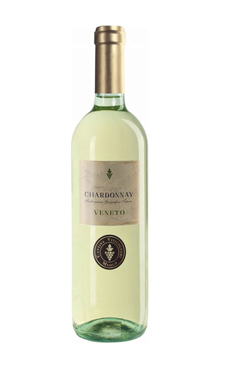 фото вино Cantina Viticoltori Meolo Chardonnay Veneto 2018 0,75 л