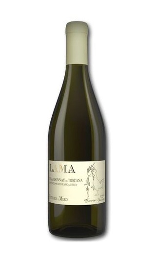 фото вино Fattoria il Muro Lama Chardonnay di Toscana 2019 0,75 л