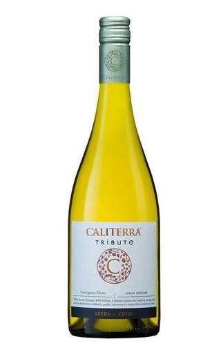 фото вино Vina Caliterra Sauvignon Blanc Tributo 2020 0,75 л