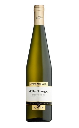 фото вино Cavit Mastri Vernacoli Muller Thurgau 2020 0,75 л