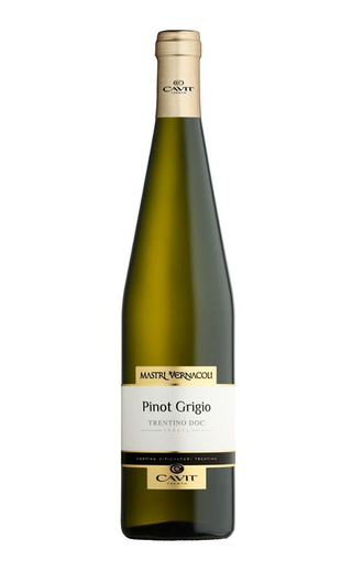 фото вино Cavit Mastri Vernacoli Pinot Grigio 2020 0,75 л