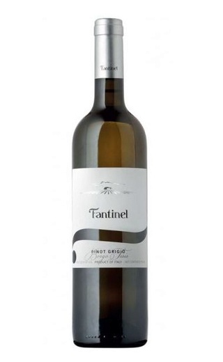 фото вино Fantinel Pinot Grigio 2018 0,75 л