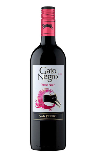 фото вино San Pedro Gato Negro Pinot Noir 2020 0,75 л