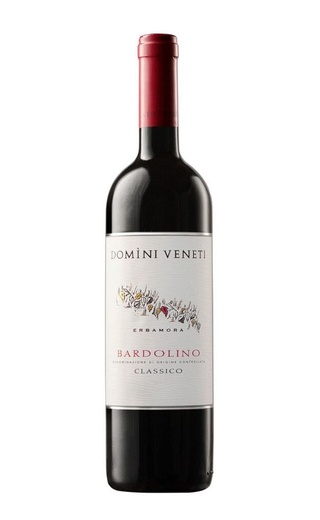 фото вино Domini Veneti Bardolino Classico 2020 0,75 л