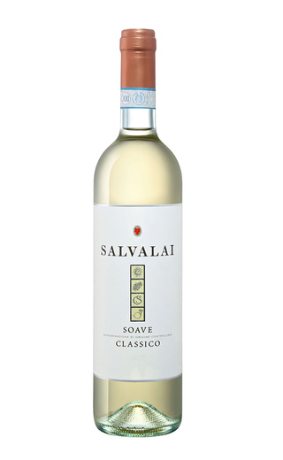 фото вино Gerardo Cesari Salvalai Soave Classico 2020 0,75 л