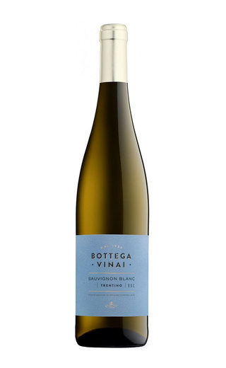 фото вино Cavit Bottega Vinai Sauvignon Blanc 2020 0,75 л