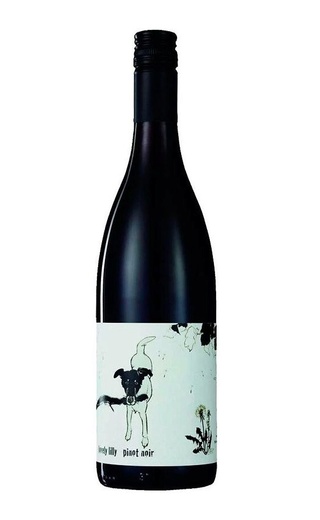 фото вино Shelter Winery Lovely Lilly 2019 0,75 л