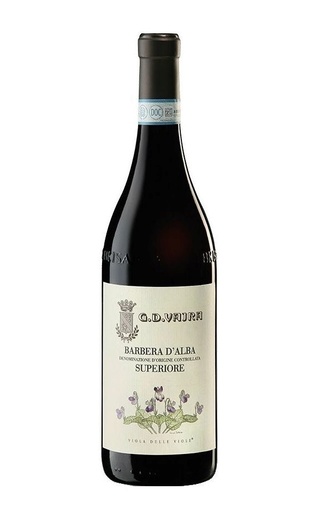 фото вино G. D. Vajra Barbera d'Alba Superiore 2019 0,75 л