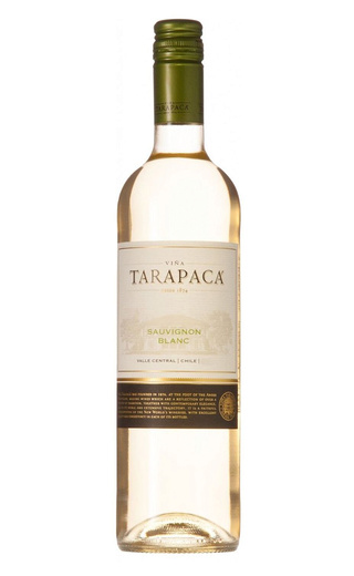 фото вино Tarapaca Sauvignon Blanc 2021 0,75 л