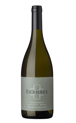 фото вино Vina Cobos Bramare Chardonnay Valle de Uco 2019 0,75 л