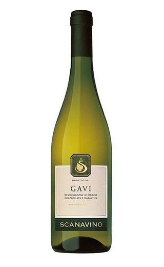 фото вино Scanavino Gavi 2020 0,75 л