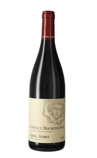 фото вино Louis Jadot Coteaux Bourguignons Rouge 2020 0,75 л