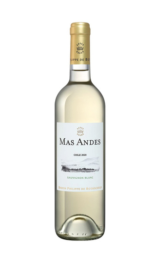 фото вино Mas Andes Sauvignon Blanc 2020 0,75 л