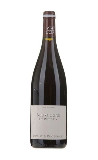 фото вино Alain Burguet Bourgogne Rouge les Pince Vin 2019 0,75 л