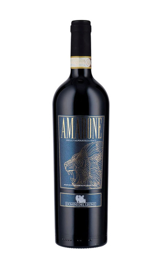 фото вино Domini del Leone Amarone della Valpolicella 0,75 л