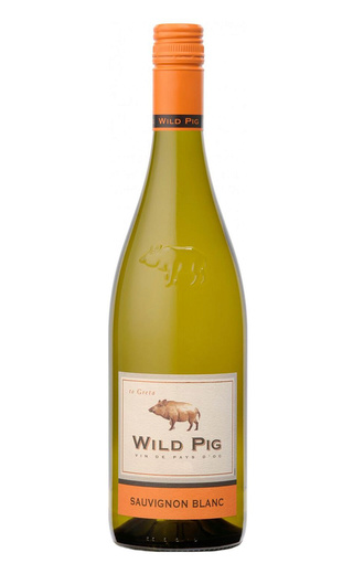 фото вино Wild Pig Sauvignon Blanc 2020 0,75 л