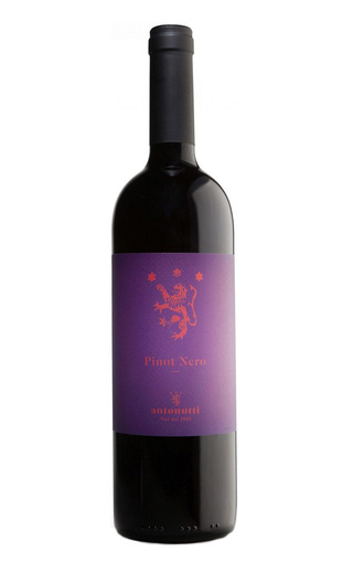 фото вино Antonutti Pinot Nero 2020 0,75 л