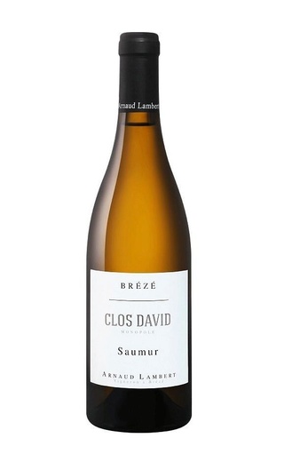 фото вино Arnaud Lambert Breze Clos David Monopole 2019 0,75 л