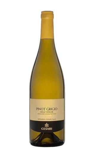 фото вино Gerardo Cesari Pinot Grigio delle Venezie 2021 0,75 л