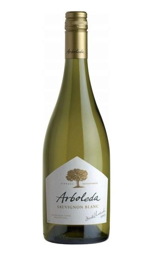 фото вино Vina Arboleda Sauvignon Blanc 2021 0,75 л