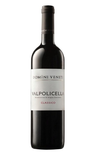 фото вино Domini Veneti Valpolicella Classico 2021 0,75 л