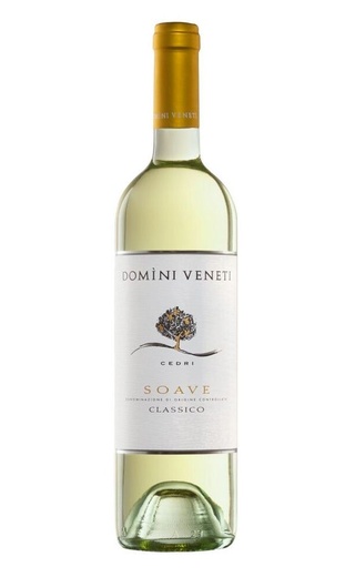 фото вино Domini Veneti Soave Classico 2021 0,75 л