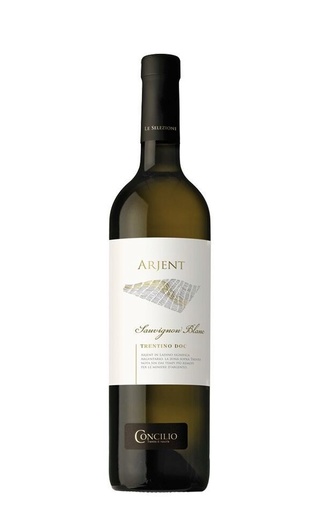 фото вино Concilio Arjent Sauvignon Blanc 2021 0,75 л