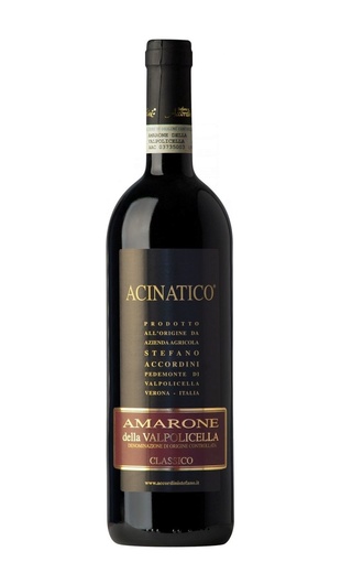 фото вино Stefano Accordini Amarone della Valpolicella Classico Acinatico 2019 0,75 л