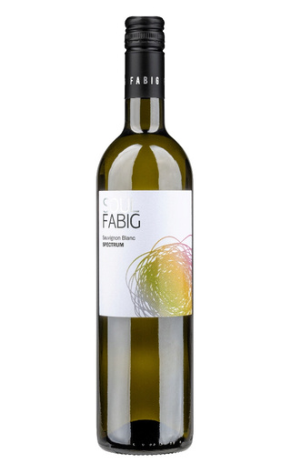 фото вино Fabig Soul Spectrum Sauvignon Blanc 2020 0,75 л