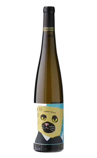 фото вино Fanny Adams Riesling Pavel Shvets 2019 0,75 л