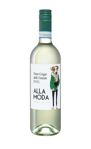 фото вино San Matteo Alla Moda Pinot Grigio 2022 0,75 л