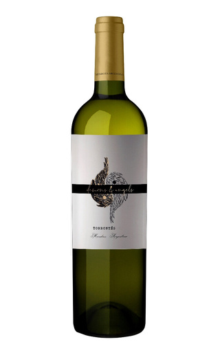 фото вино Demons & Angels Torrontes 2022 0,75 л