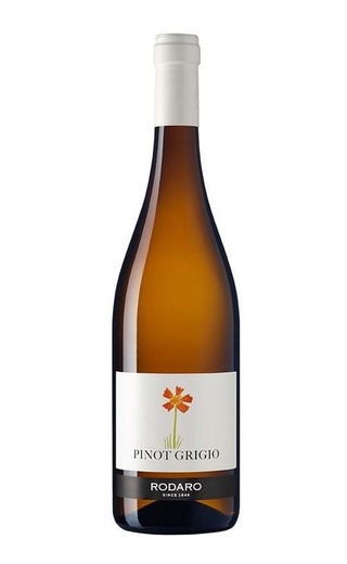 фото вино Rodaro Pinot Grigio Colli Orientali del Friuli 2022 0,75 л