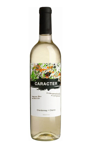 фото вино Bodegas Santa Ana Caracter Chardonnay Chenin 2021 0,75 л