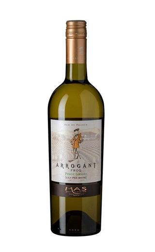 фото вино Arrogant Frog Pinot Grigio Pays d'Oc 2021 0,75 л