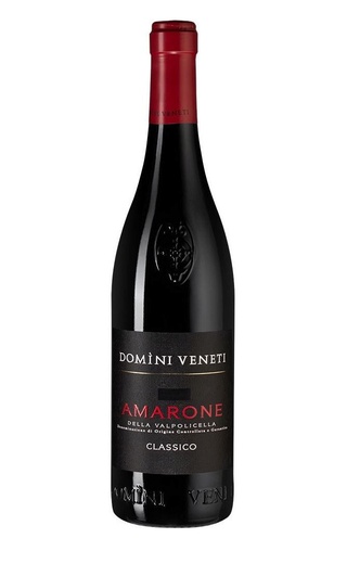 фото вино Domini Veneti Amarone della Valpolicella Classico 2019 0,75 л