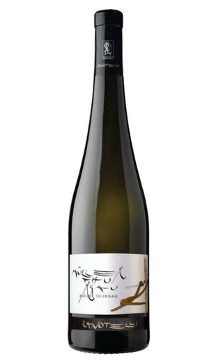 фото вино Zanotelli Muller Thurgau 2022 0,75 л