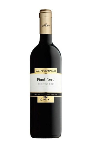 фото вино Cavit Mastri Vernacoli Pinot Nero 2022 0,75 л