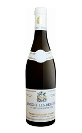 Вино Domaine Philippe Girard Savigny les Beaune Premier Cru Les Rouvrettes 2022 0,75 л