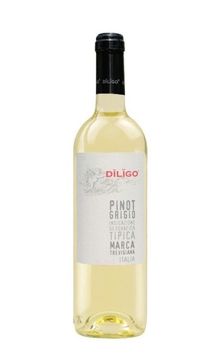 фото вино Anna Spinato Diligo Pinot Grigio 2023 0,75 л