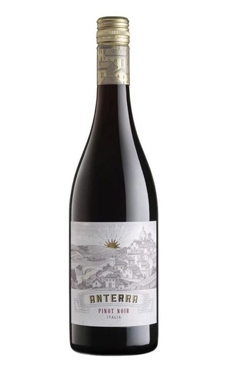 фото вино Anterra Pinot Noir 2020 0,75 л