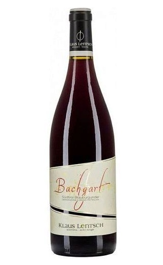 фото вино Klaus Lentsch Bachgart Bachgart Pinot Noir 2019 0,75 л