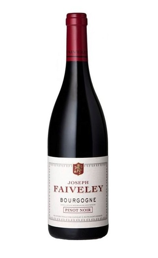 Февле Бургонь Пино Нуар 2020 1.5 л фото вино Faiveley Bourgogne Pinot Noir 2020 1,5 л