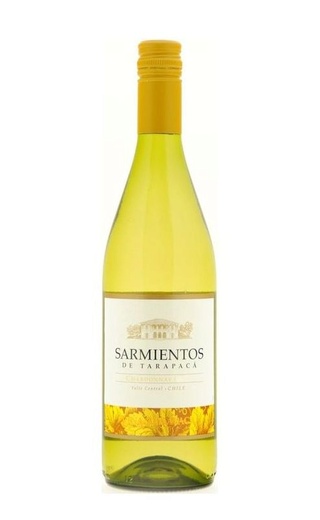 фото вино Tarapaca Sarmientos Chardonnay 2024 0,75 л