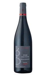 Вино Celine & Frederic Gueguen Cesar Coteaux Bourguignons 2023 0,75 л