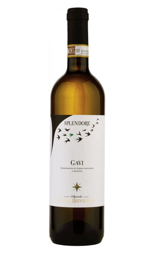 фото вино Colle Belvedere Splendore Gavi 2018 0,75 л