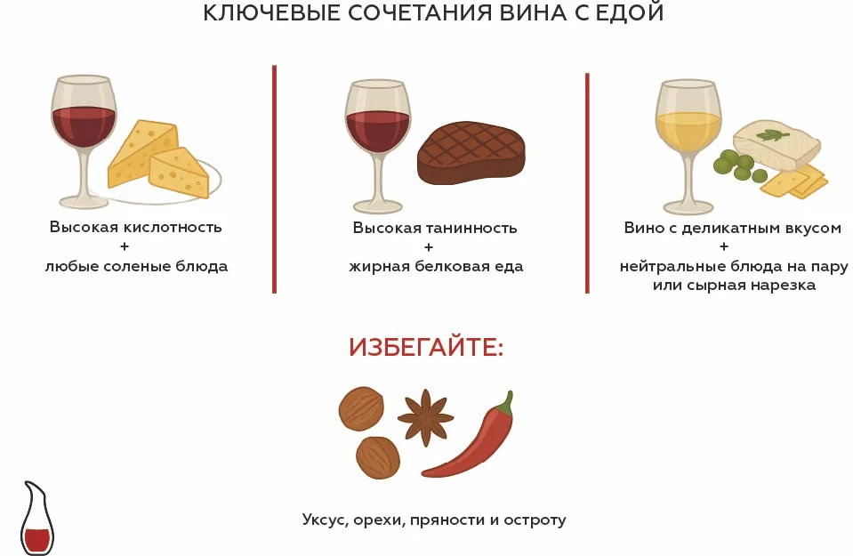 Сочетание вина и блюд Инфографика