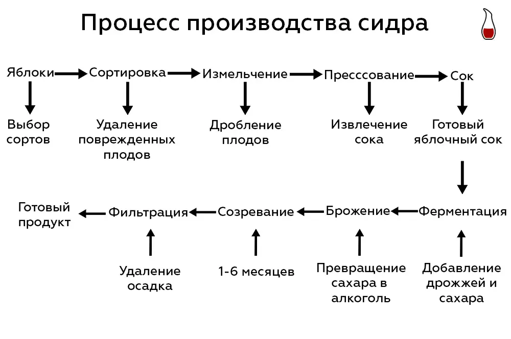 Производство сидра Инфографика